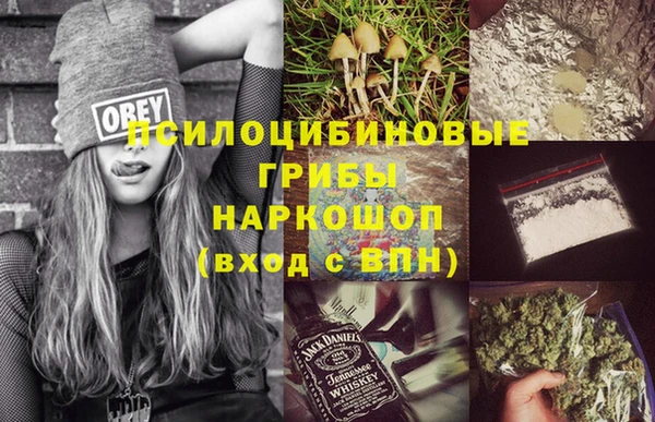 мдпв Вяземский