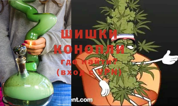 сатива Володарск