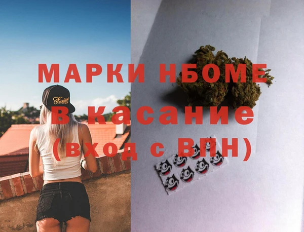 мдпв Вяземский