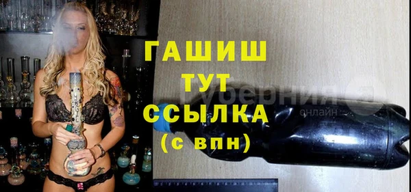 мдпв Вяземский