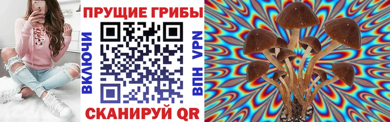 купить  цена  ОМГ ОМГ рабочий сайт  Галлюциногенные грибы GOLDEN TEACHER  Нея 